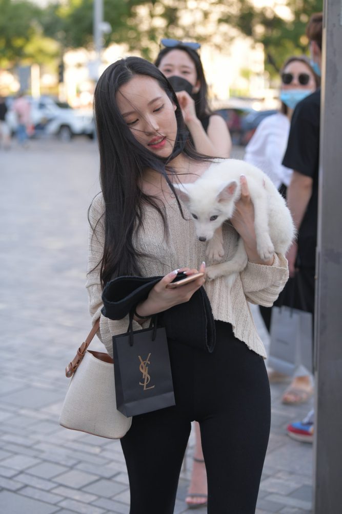 抱着小狗的漂亮女孩 J2106 136P-3.25GB-嘿图库